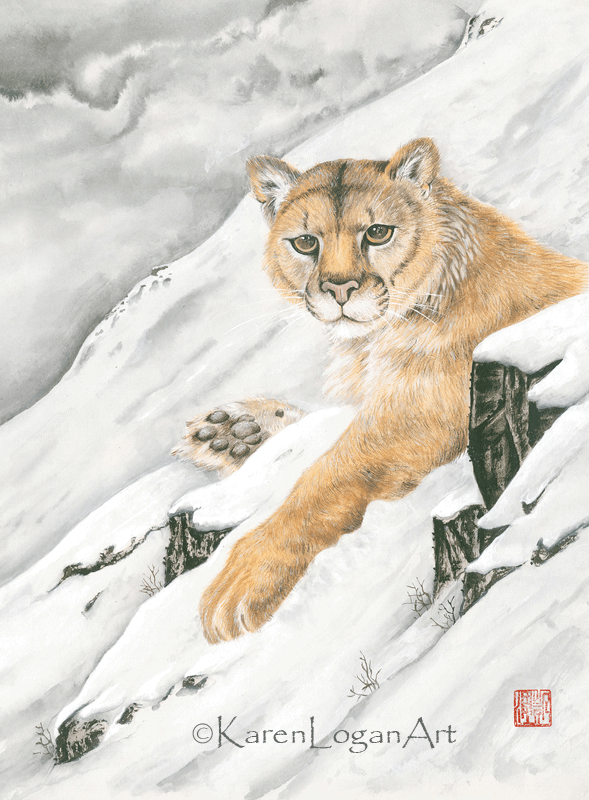 Photo of Cougar in the snow