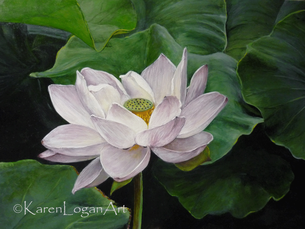Photo of Lotus Flower with leaves